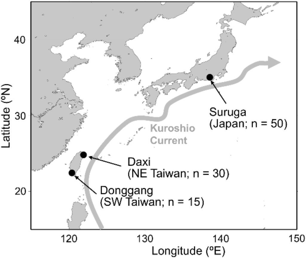 日本與台灣海域西北櫻花蝦Lucensosergia lucens的族群隨機雜交